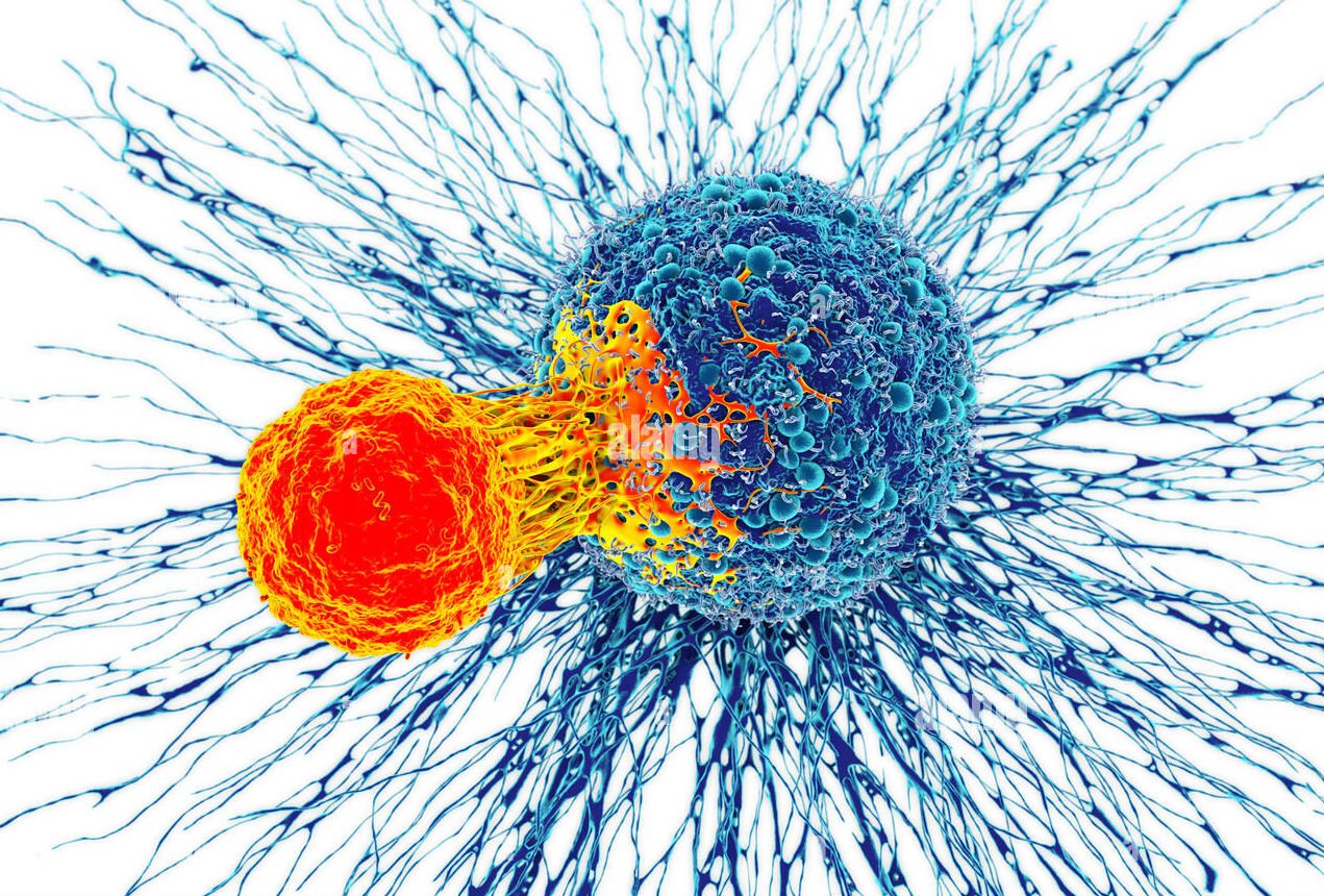 cancer-cell-and-t-cell-illustration-K5A85G